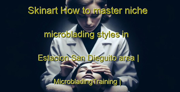 Skinart How to master niche microblading styles in Estacion San Dieguito area | MicrobladingTraining | MicrobladingClasses | SkinartTraining-Mexico